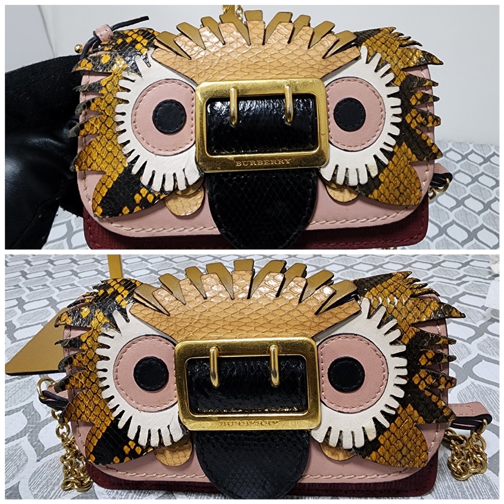Burberry Owl Chain-Linked Crossbody Bag Multicolored - Picture 6 of 15